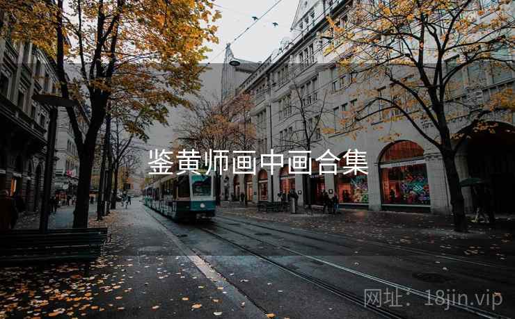 鉴黄师画中画合集 鉴黄师画中画合集