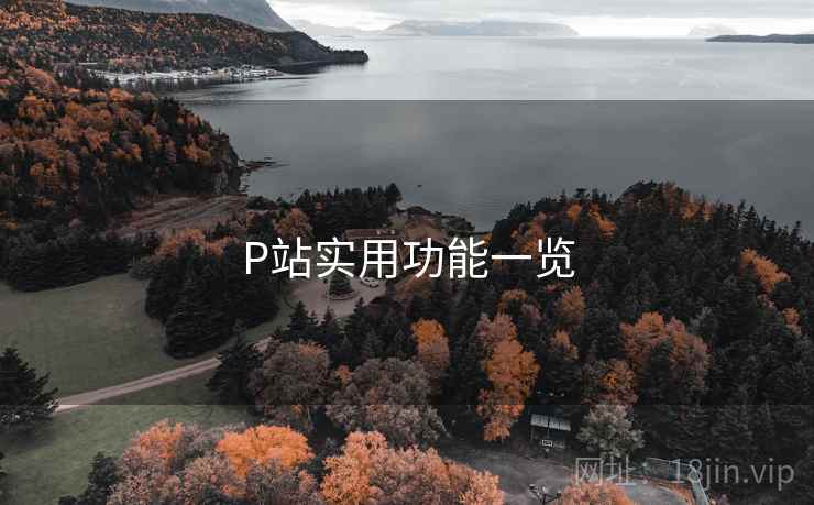 P站实用功能一览 P站实用功能一览