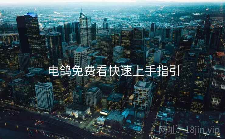 电鸽免费看快速上手指引 电鸽免费看快速上手指引