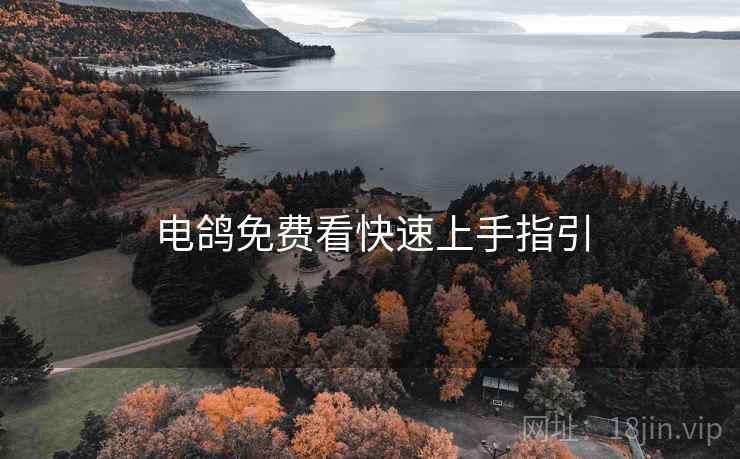 电鸽免费看快速上手指引 电鸽免费看快速上手指引