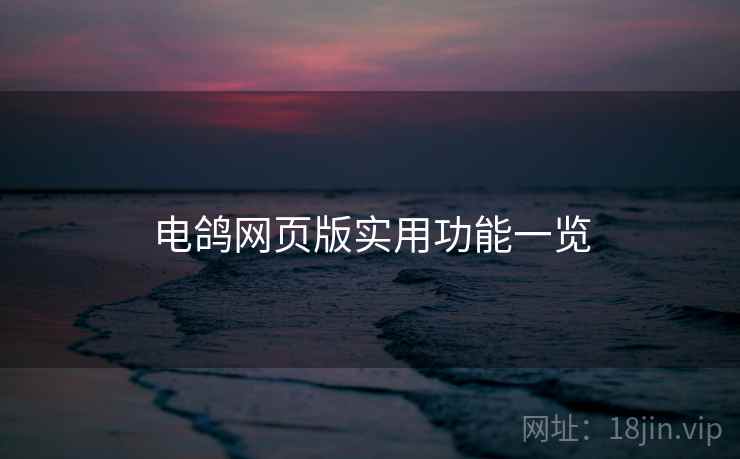 电鸽网页版实用功能一览 电鸽网页版实用功能一览