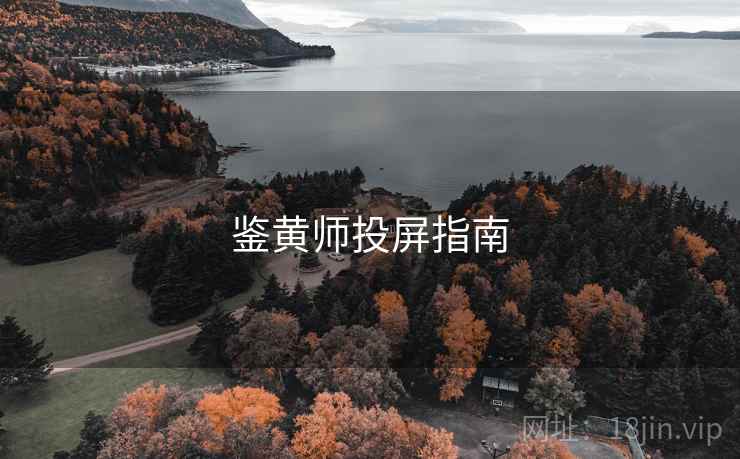 鉴黄师投屏指南 鉴黄师投屏指南