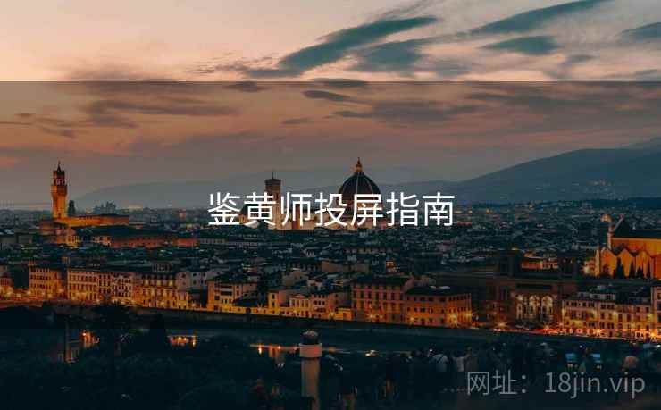 鉴黄师投屏指南 鉴黄师投屏指南