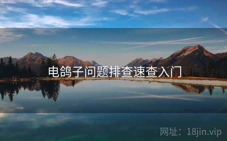 电鸽子问题排查速查入门