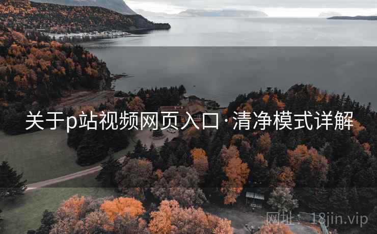 关于p站视频网页入口·清净模式详解 关于p站视频网页入口·清净模式详解