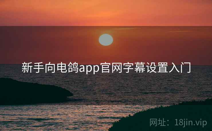 新手向电鸽app官网字幕设置入门 新手向电鸽app官网字幕设置入门