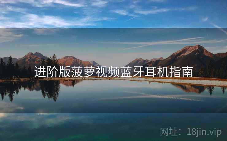 进阶版菠萝视频蓝牙耳机指南 进阶版菠萝视频蓝牙耳机指南