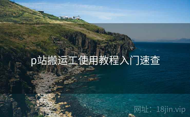 p站搬运工使用教程入门速查 p站搬运工使用教程入门速查