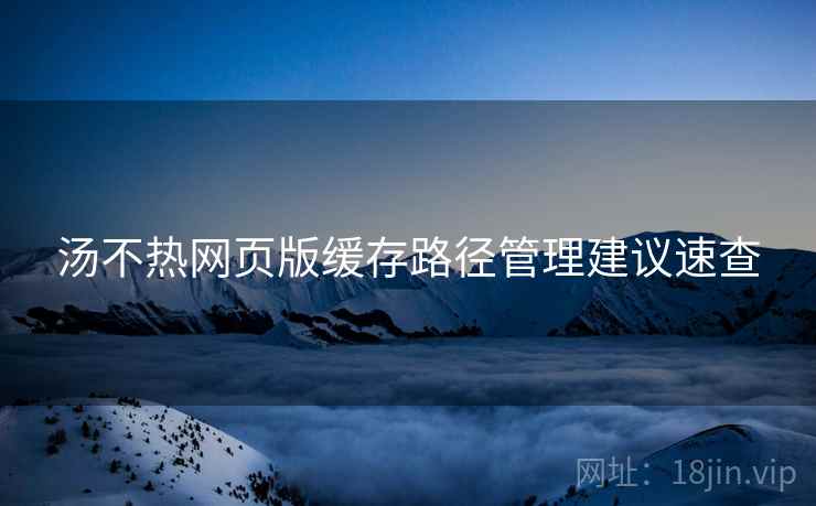 汤不热网页版缓存路径管理建议速查 汤不热网页版缓存路径管理建议速查