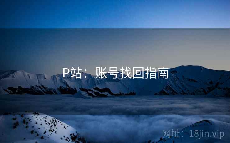 P站:账号找回指南 P站:账号找回指南