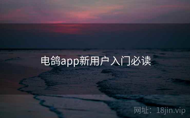 电鸽app新用户入门必读 电鸽app新用户入门必读