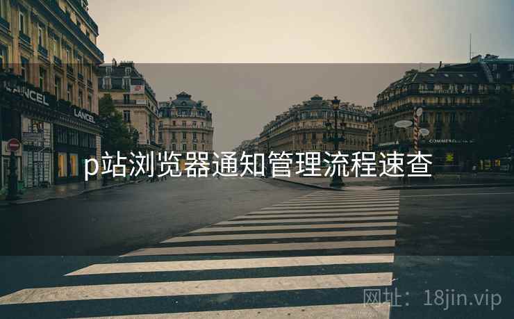 p站浏览器通知管理流程速查 p站浏览器通知管理流程速查