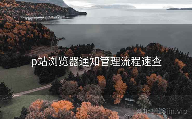 p站浏览器通知管理流程速查 p站浏览器通知管理流程速查