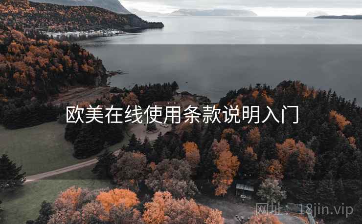 欧美在线使用条款说明入门 欧美在线使用条款说明入门