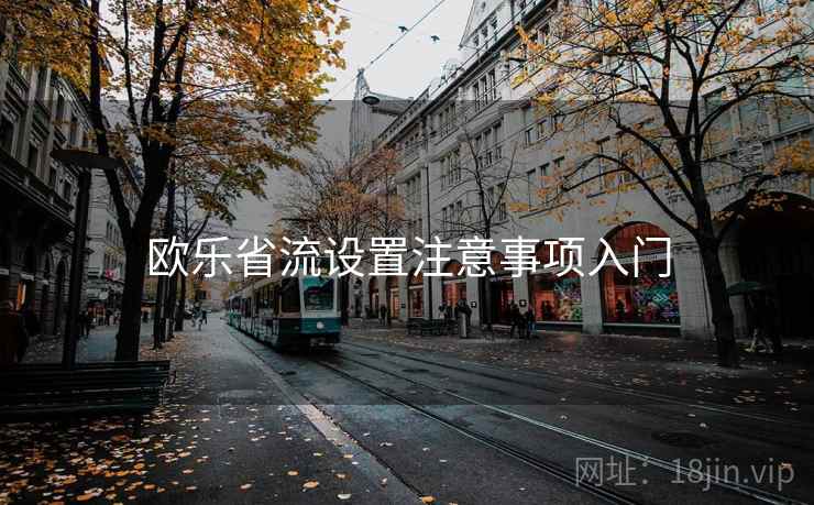 欧乐省流设置注意事项入门 欧乐省流设置注意事项入门