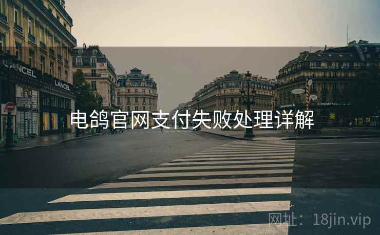 电鸽官网支付失败处理详解 电鸽官网支付失败处理详解