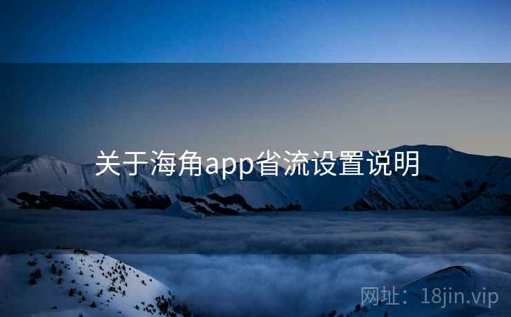 关于海角app省流设置说明 关于海角app省流设置说明