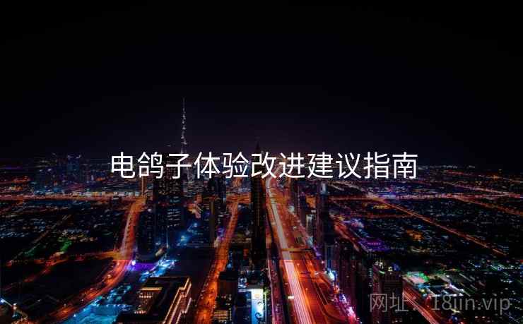 电鸽子体验改进建议指南 电鸽子体验改进建议指南
