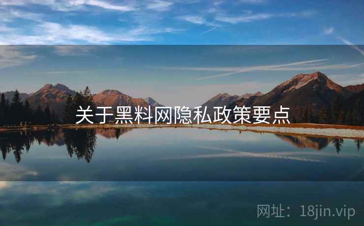关于黑料网隐私政策要点