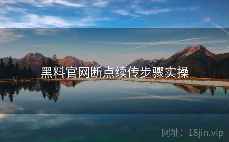 黑料官网断点续传步骤实操