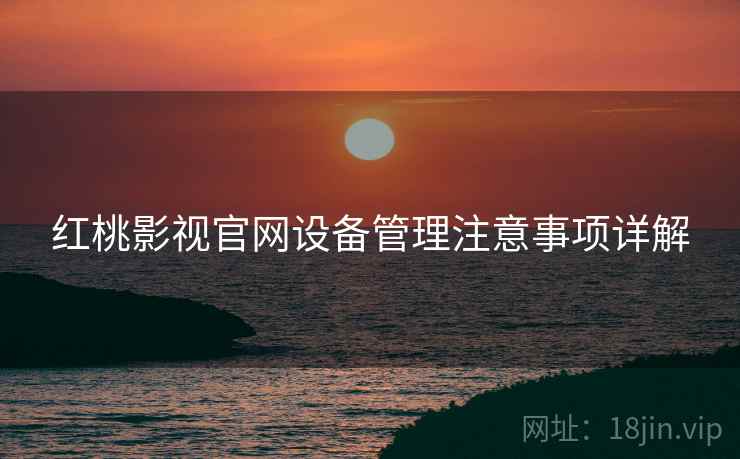红桃影视官网设备管理注意事项详解 红桃影视官网设备管理注意事项详解