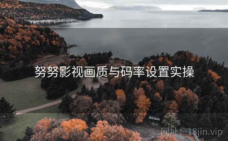 努努影视画质与码率设置实操