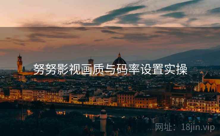 努努影视画质与码率设置实操 努努影视画质与码率设置实操