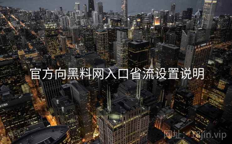 官方向黑料网入口省流设置说明