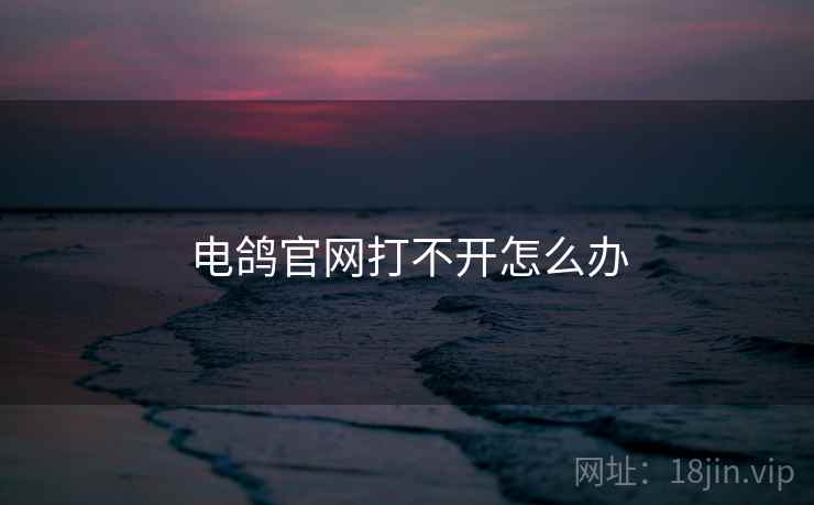 电鸽官网打不开怎么办