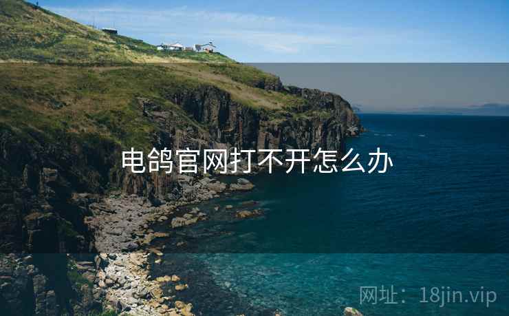 电鸽官网打不开怎么办