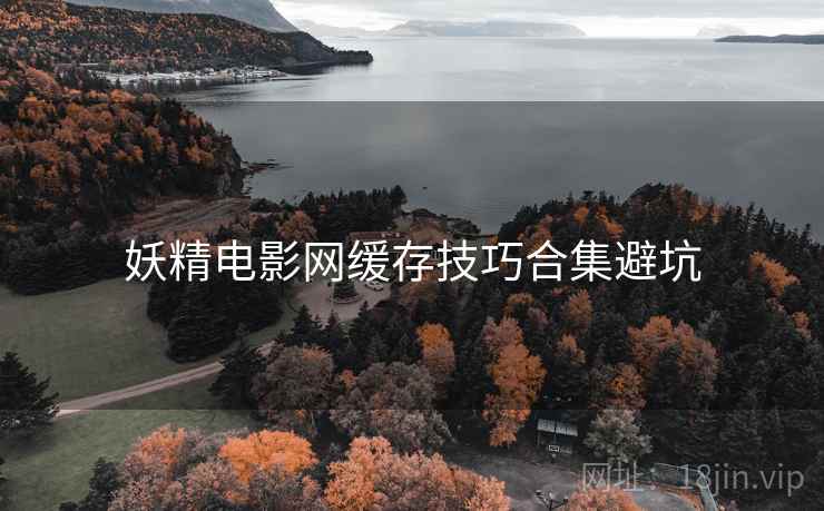 妖精电影网缓存技巧合集避坑